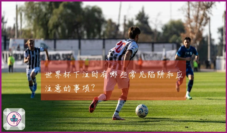世界杯下注时有哪些常见陷阱和应注意的事项？