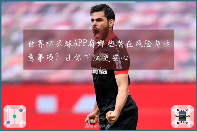 世界杯买球APP有哪些潜在风险与注意事项？让你下注更安心