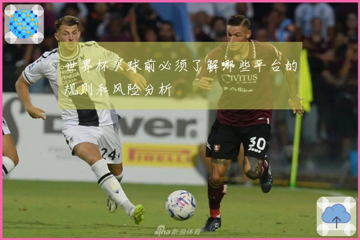 世界杯买球前必须了解哪些平台的规则和风险分析