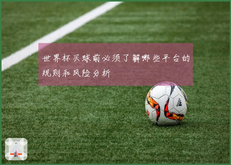 世界杯买球前必须了解哪些平台的规则和风险分析