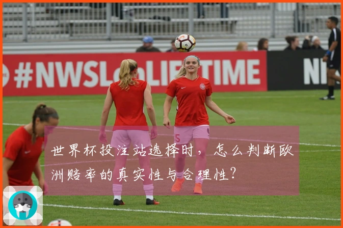 世界杯投注站选择时,怎么判断欧洲赔率的真实性与合理性?
